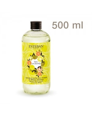 Recharge pour bouquet parfumé Terre d'agrumes 500ml - Esteban